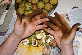 Cum poți să scapi de petele de nuci verzi. Metoda banală care nu dă greș